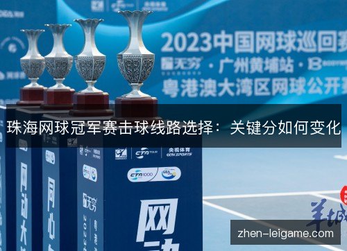 珠海网球冠军赛击球线路选择：关键分如何变化